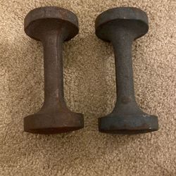 8LB Dumbbells 