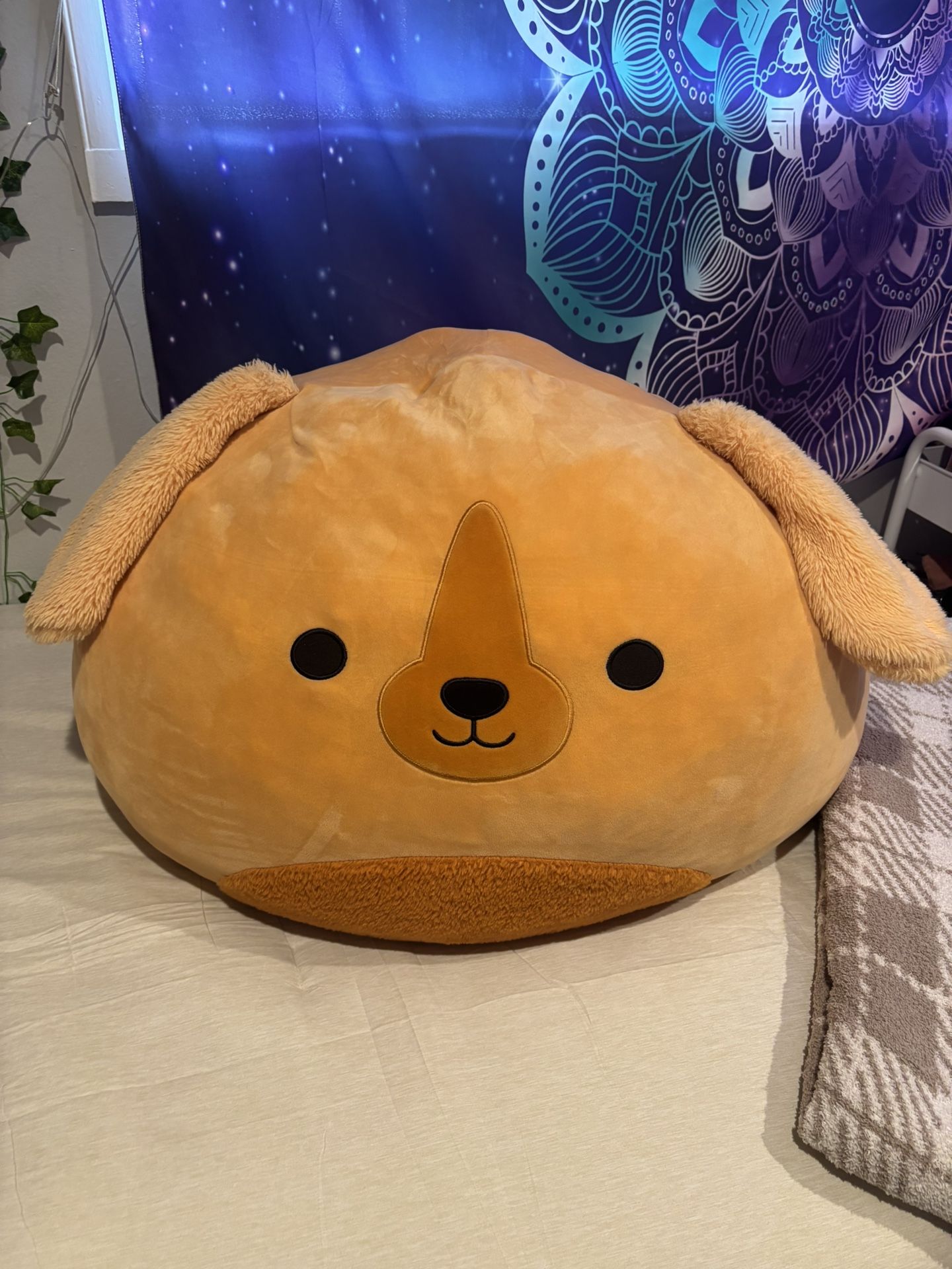 Squishmallow Giant Dog