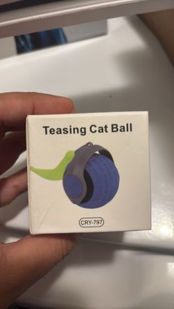 Teasing Cat Ball