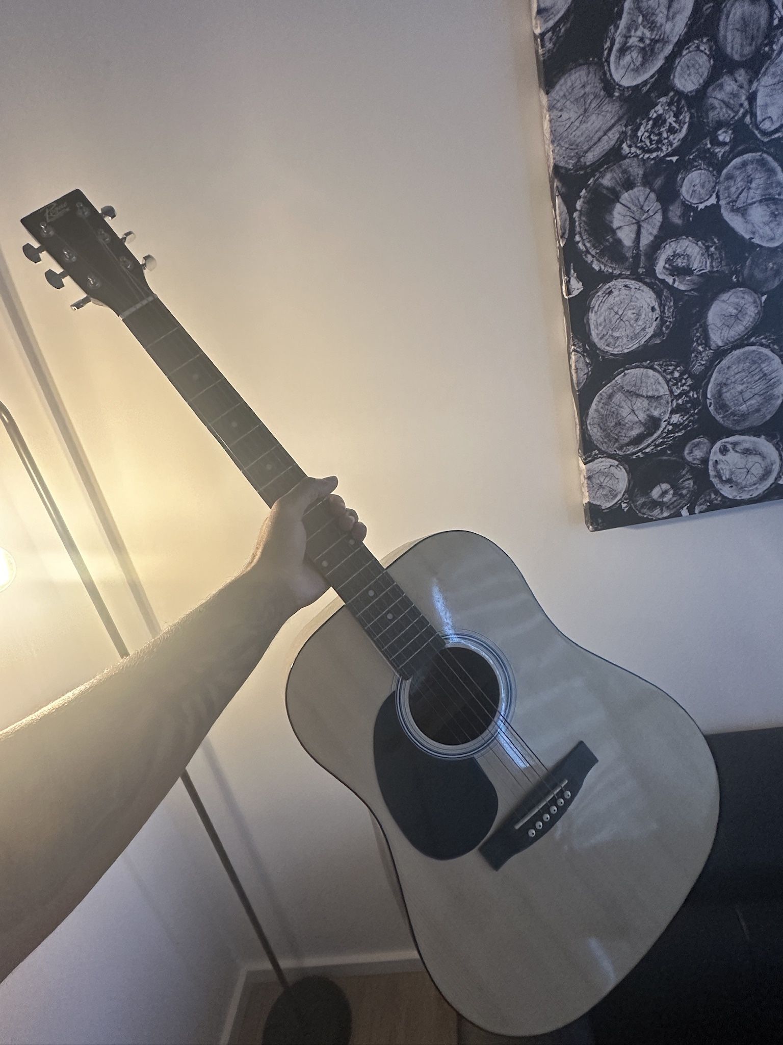 Left handed guitar