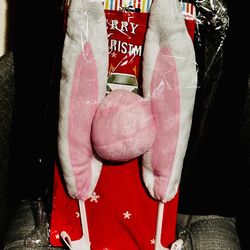 Bunny Ears  for Your Car