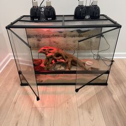 Eco-Terra Glass Terrarium 