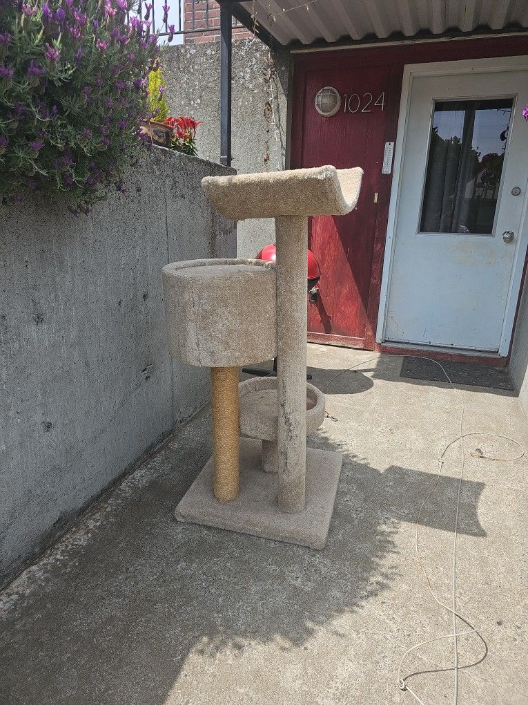 Gently Used Cat Tower