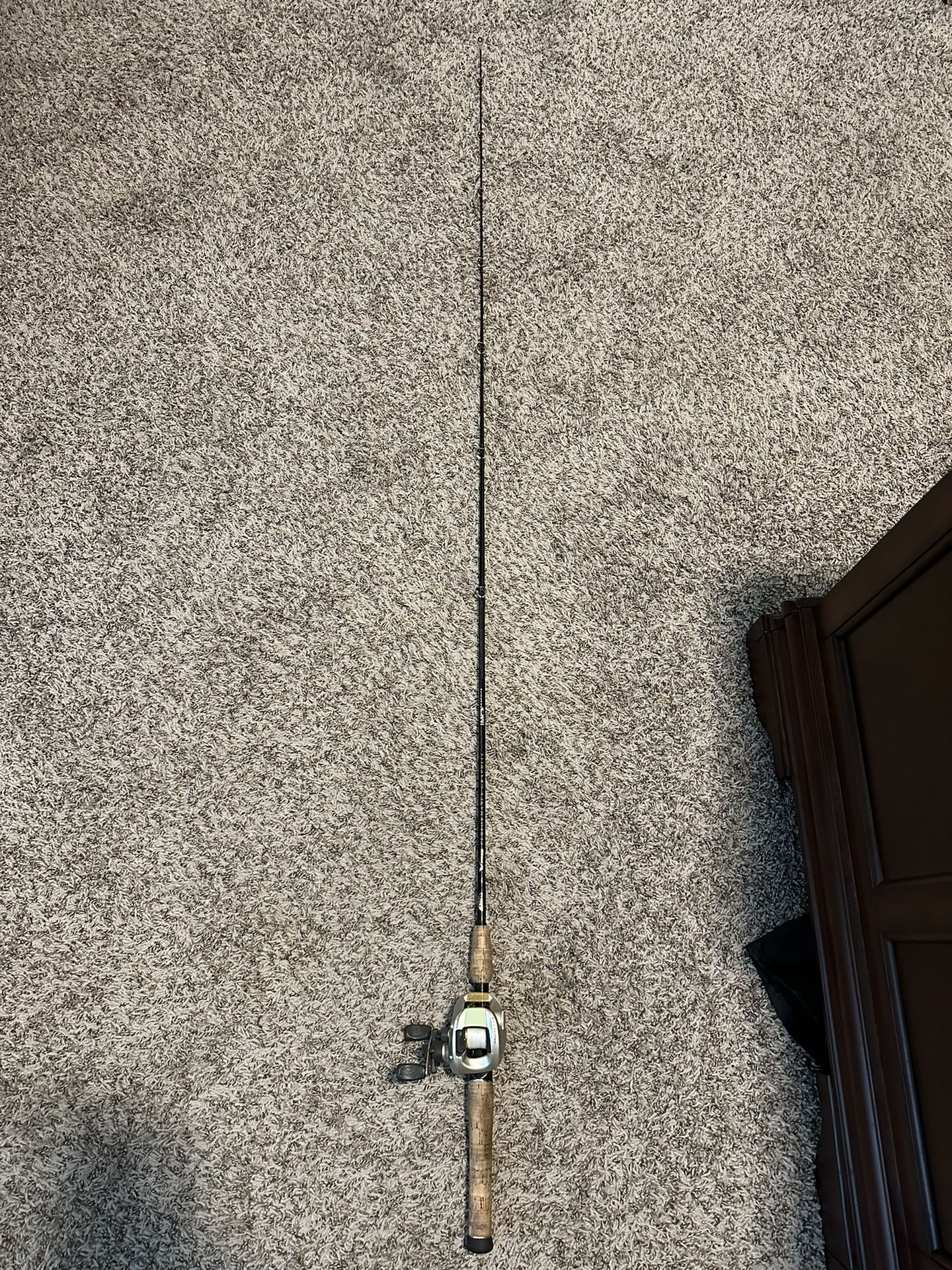 Fishing Rod And Reel (Casting)