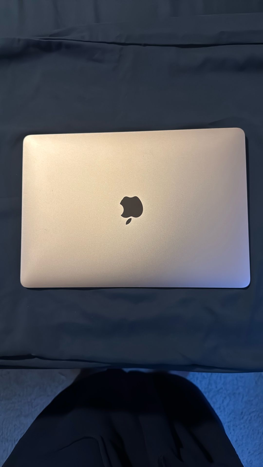 APPLE M1 (2020)