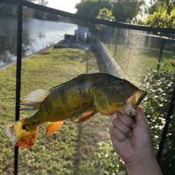 Selling Fishing Spots