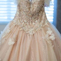 Quinceañera Ball Gown/Dress 