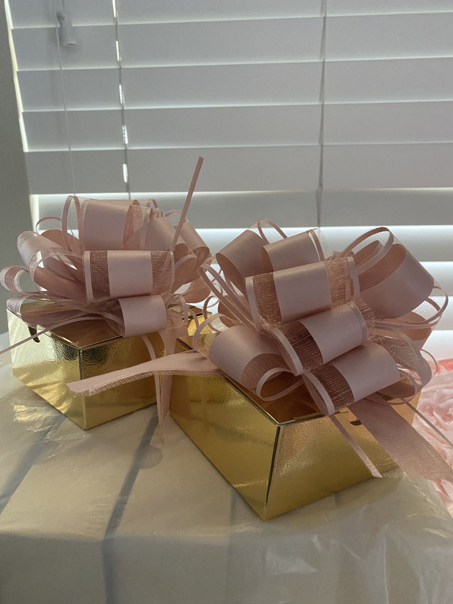 2 Gift Boxes With Bows
