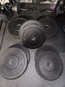 Bumper Weight set 260lbs