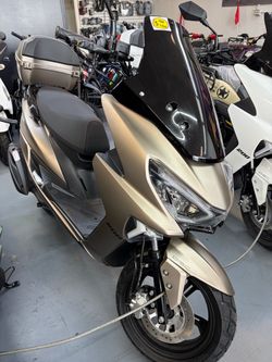 Vitacci Intrepid