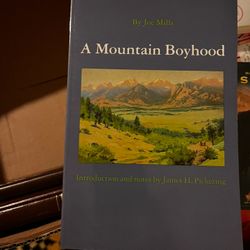 A mountain boyhood - Joe Mills Book 