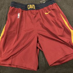 Nike Cleveland Cavaliers Icon Swingman Shorts 