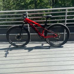 2023 Trek E-Caliber 9.8  XT / Medium