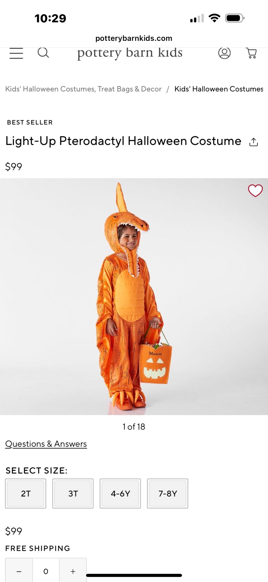 Pottery Barn Toddler Halloween Costume
