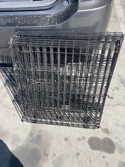Dog fence