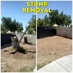 Stump grinding messge, tree messge