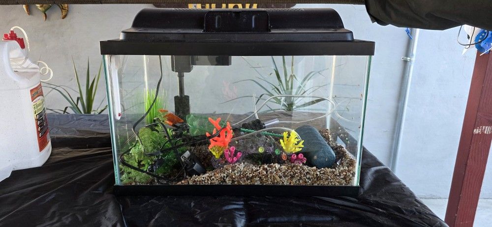 10 Gallon Aquarium