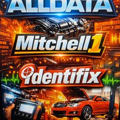 Informacion Actulaiizada Mecanico Experto O Profesional