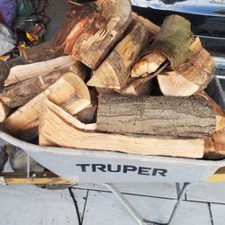 🔥 Dry Almond Firewood 🔥 