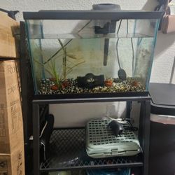 20 GALLON FISH TANK WITH METAL STAND