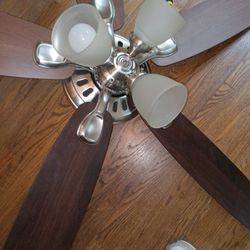 Hunter Ceiling Fan. Rest Room Light 