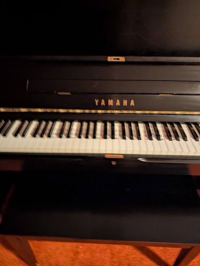 U1. Yamaha Professional piano