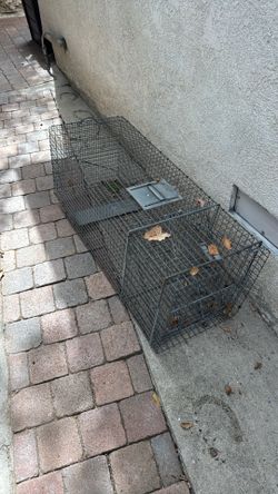 Free cage/tra/trap for unwanted raccoons