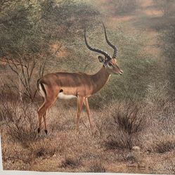 CHARLES FRACE' 29X20