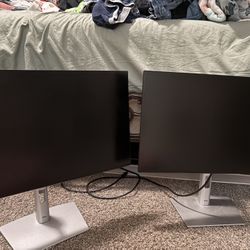 Dell Monitors