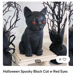 Spooky Cat