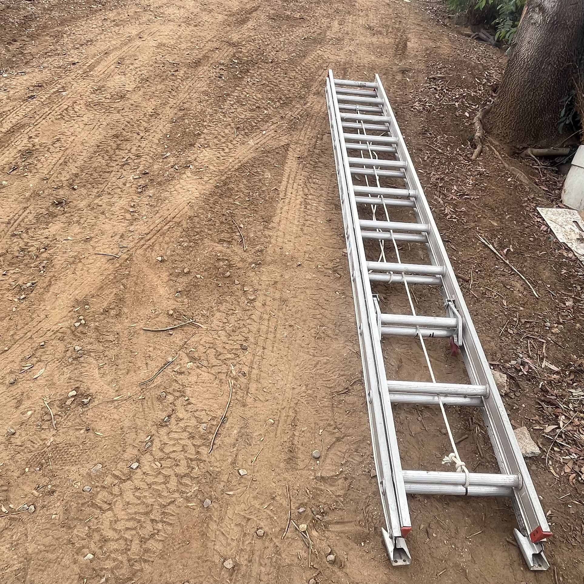 Ladder