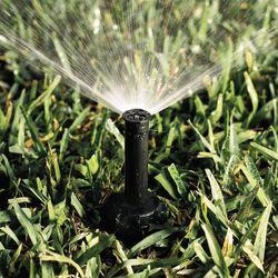 Sprinklers Or Irrigation System