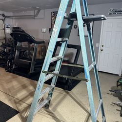Werner ladder 