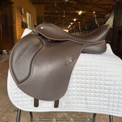 Horse Saddle