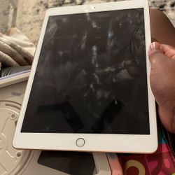 iPad 8th Gen