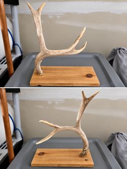Real Antler Jewelry Holder on Wood Base – Rustic Handmade Stand