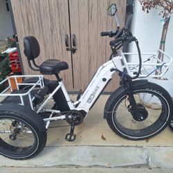 Dual Motor Trike