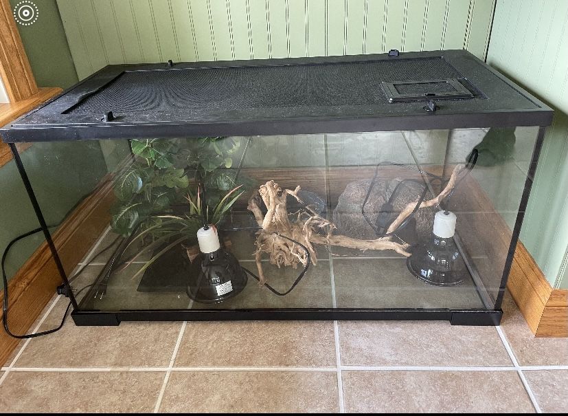 Reptile Tank Kit