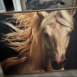 Horse Picture Frame 