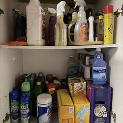 Cleaning Products