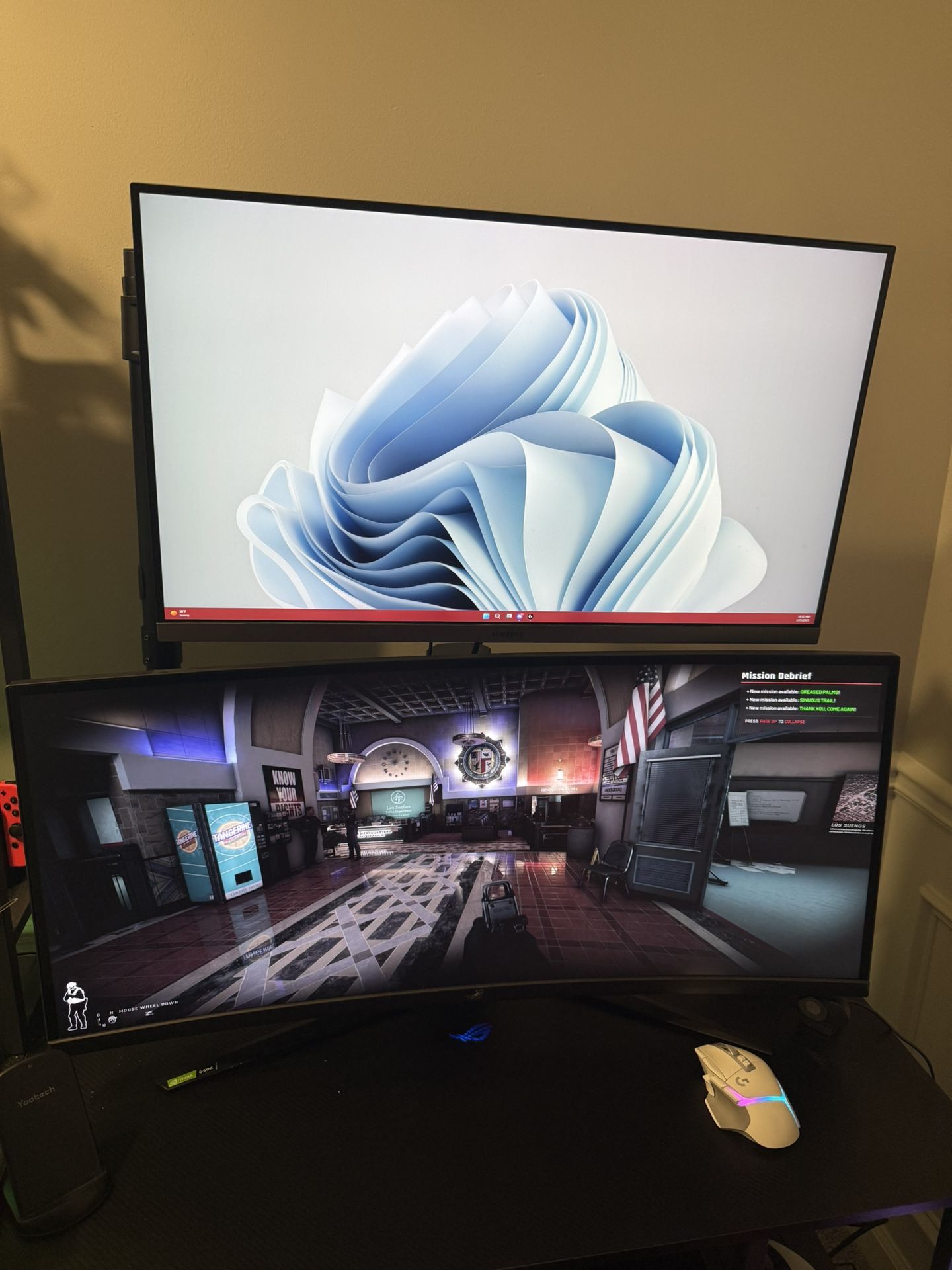 Dual Monitor Setup