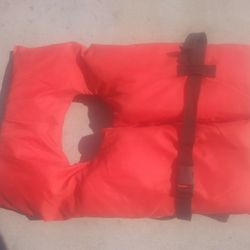 Life vest