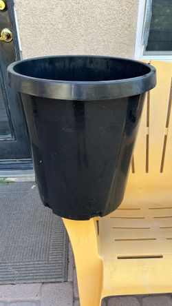 Black Plans Containers