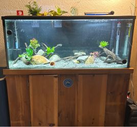 55 gallon aquarium