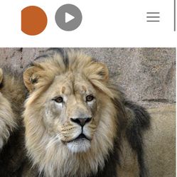 6 Tickets To Brookfield Zoo 