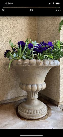 Gorgeous succulent and perineal mix