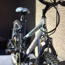 Bike 26”