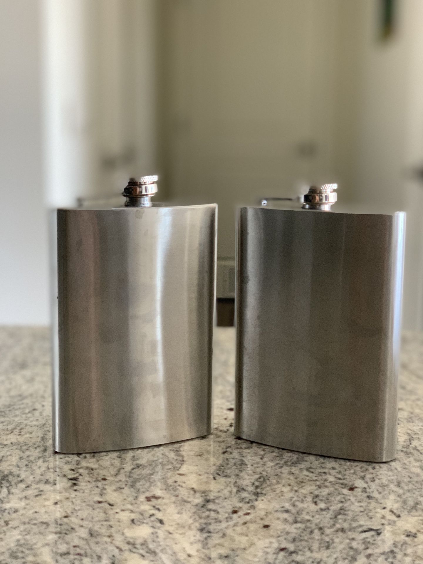 Stainless Steel Flask Set of 2