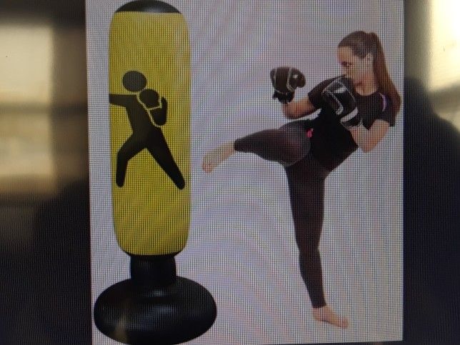 Inflatable Punching Bag