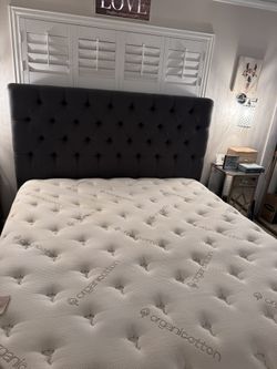 Living Spaces Cal King Bed Frame and Bases